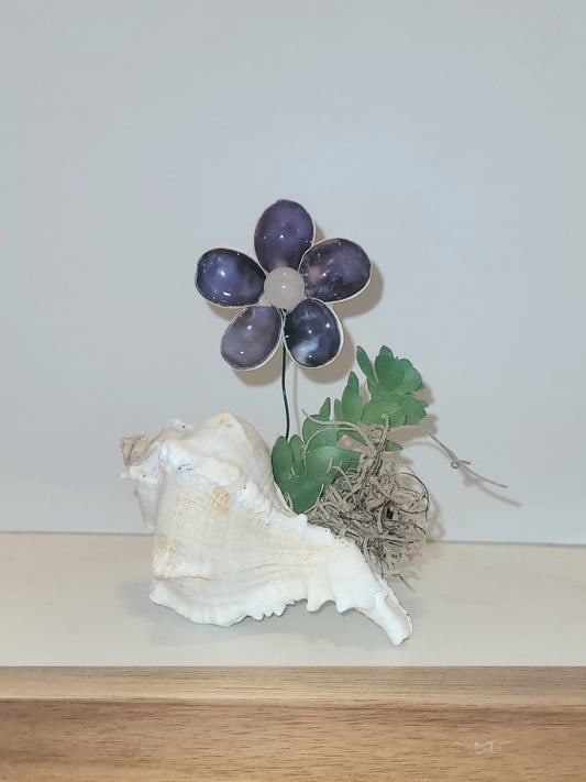 Seashell Flower in Murex Vase