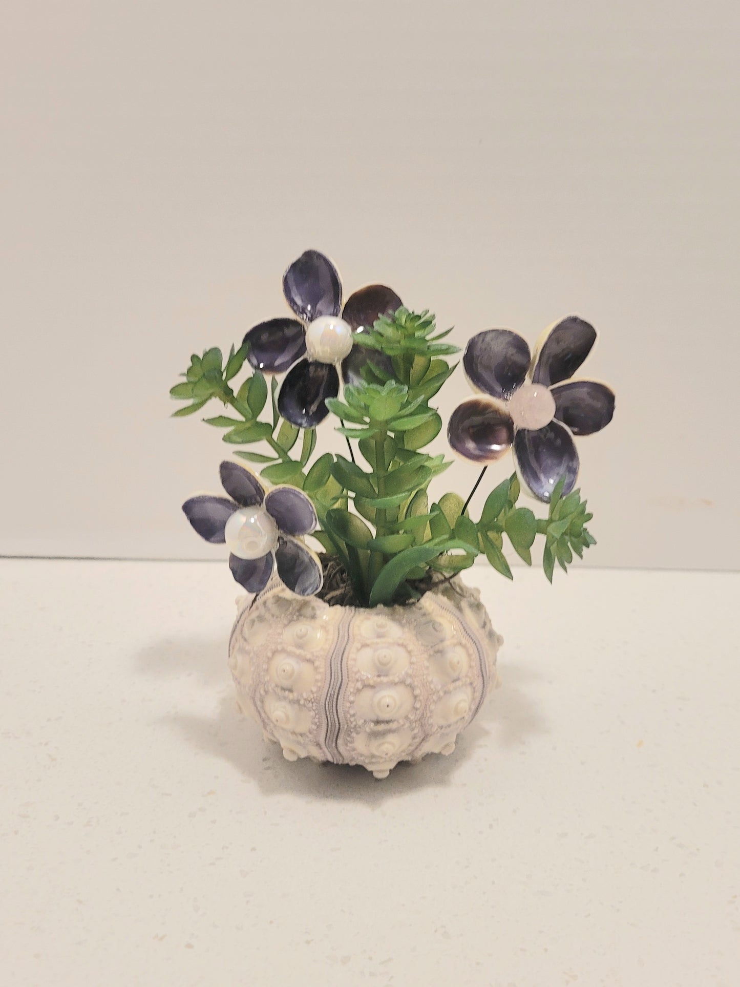 Mini Seashell Flower  Arrangement in Sea Urchin Vase